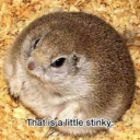 zxxdiamondxxz's Avatar