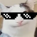 thiscatfr