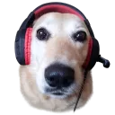 natan_a_sigma_73507 avatar