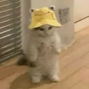 soommoon_0