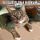 pilotf14_prime avatar