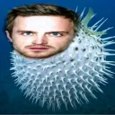 Аватар tailer_derdah