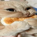 whaddafrak_39294 avatar