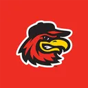 rochesterredwings