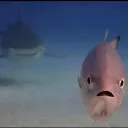 rey_crow_02792 avatar