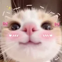 lililiiillllilll