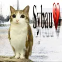 hackhackconcac avatar