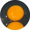 craftgames583