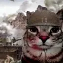 darwinsegundo667_73896 avatar