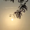 geminifx_1