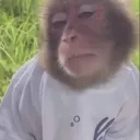 tommy_vercetty0628 avatar