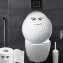 ArabischerGolfball5000 avatar