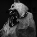 avatar hochdruckeinspritzpumpe