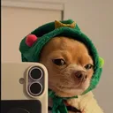 syxnek