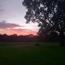 litllejimbob981 avatar