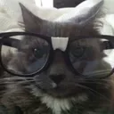 frauderzy