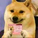 uploaderxd