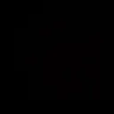 lisek08