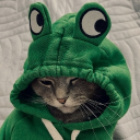 Discord Avatar