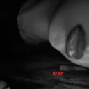 fatima_pirate174