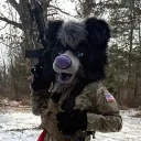 denali_collie