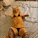 idontcrash