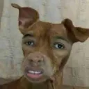 kmnnh
