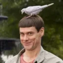 hovno69420_23488 avatar