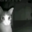 idkwhoisthhow_89586 avatar