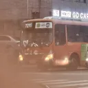 kutecat0124