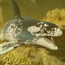oceandwellers_pot