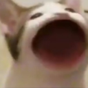 Photo de profil Discord de Orosled