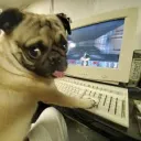 Аватар melodaric