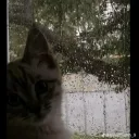 kobietjca0655 avatar