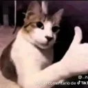 alpastor_eltrompo avatar