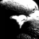 panquecasetimacontaja_40184 avatar