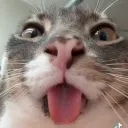 boogermuncher_1 avatar