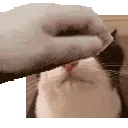 decayeddev_