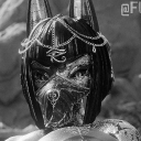 avatar 𝐀𝐍𝐊𝐇𝐀