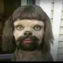 bonnie b's avatar