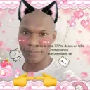 cachorro_virus777 avatar