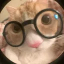 1gna0757_03081 avatar