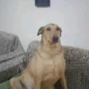 rkekeneeijeepej avatar