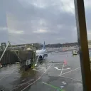 chinopapa_homero avatar