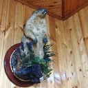 Аватар maksim062548