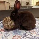 imabunneh