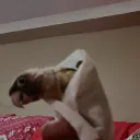hellothereimaskid