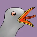 crazycuckoo