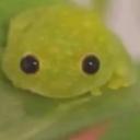 chomik09596's profile picture