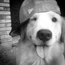https://cdn.discordapp.com/avatars/1416901305175380019/210f38a19b046217a58013e7c786187e.jpg?size=128